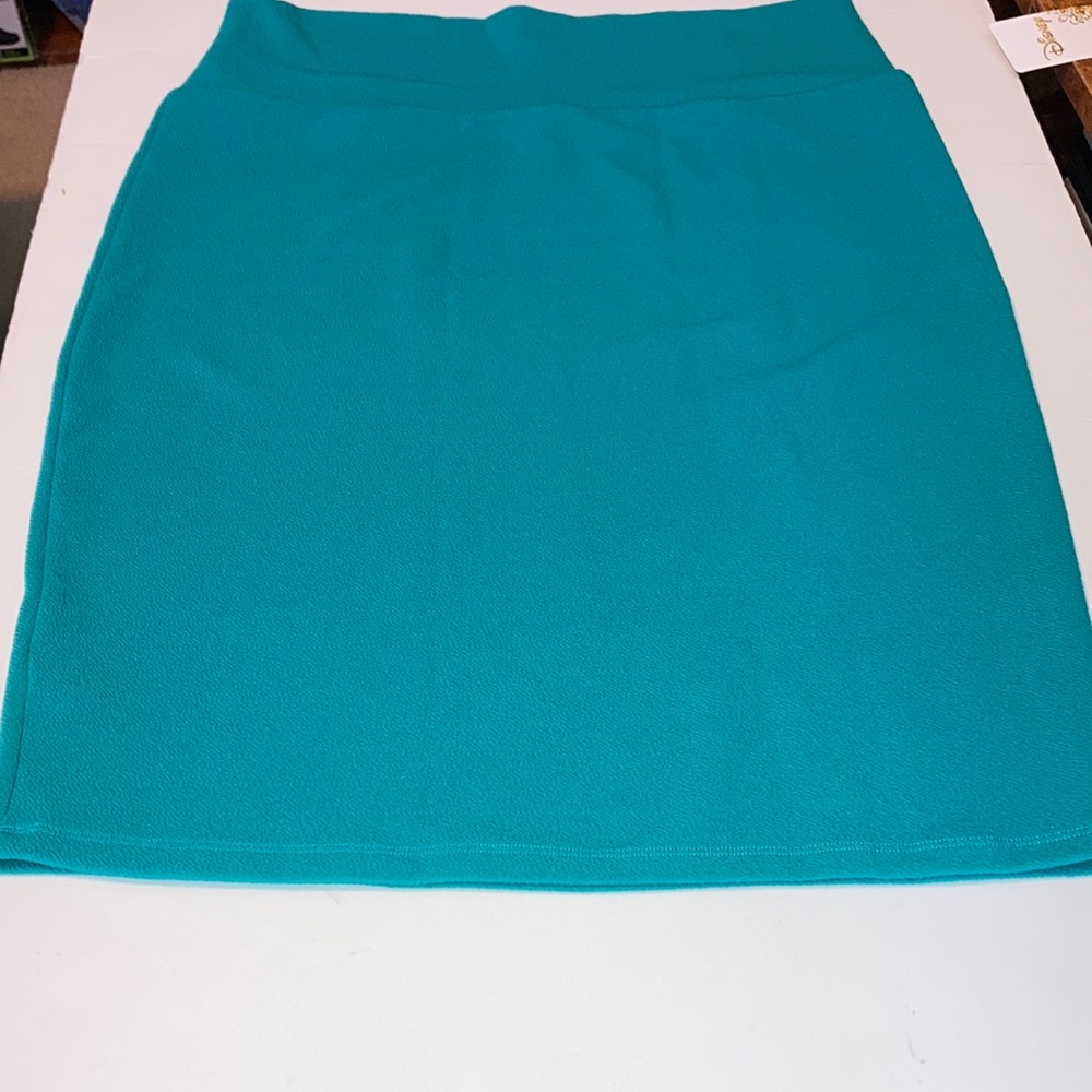 HP🎊Lularoe Cassie Skirt